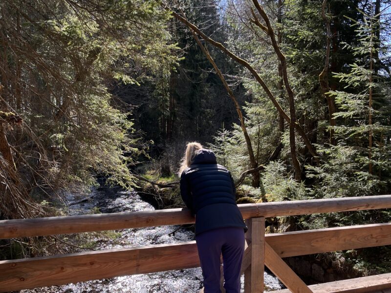 Yoga & Silent Mountain Retreat