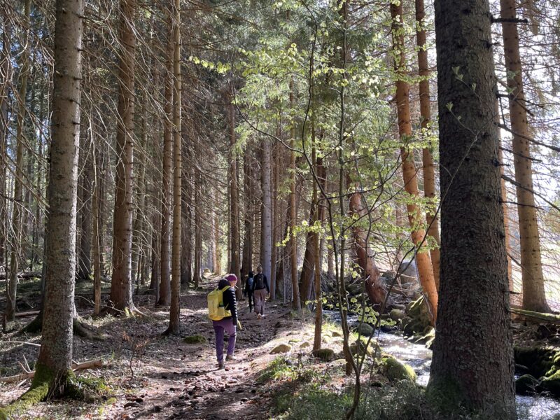 Yoga & Silent Mountain Retreat