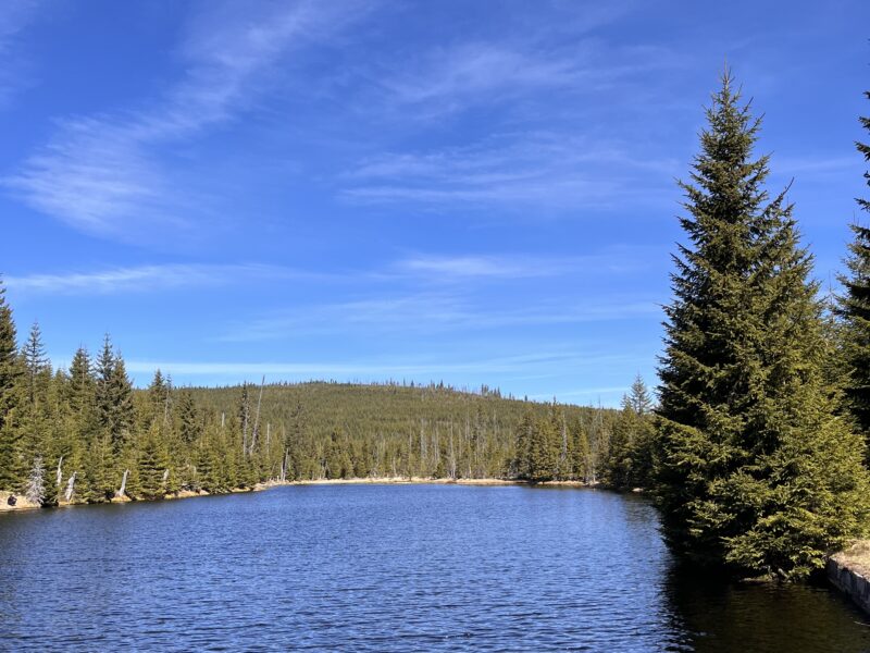 Yoga & Silent Mountain Retreat