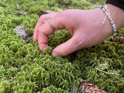 Yoga & Silent Mountain Retreat