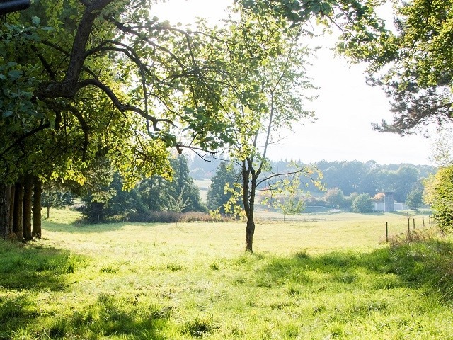 YOGA RETREAT - oster.erwachen - Ostern 2026