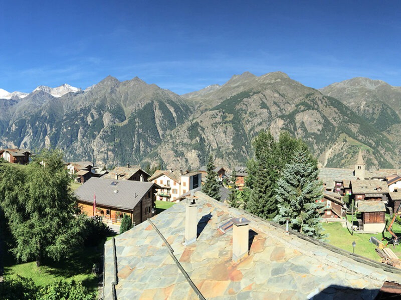 Erfahre die Wesen des Waldes - spirituelle Waldbaden-Retreats in der Schweiz