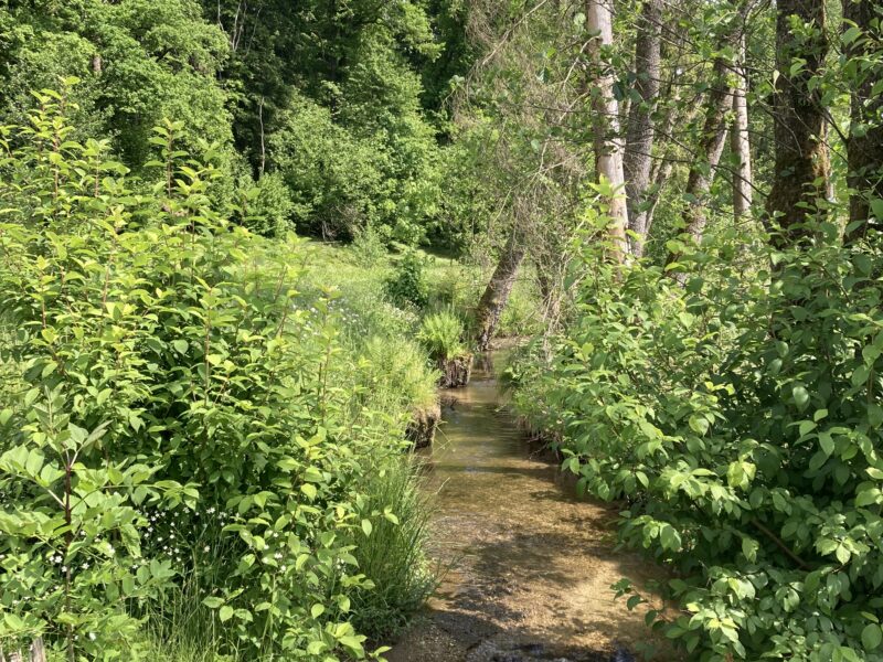 Yoga & Silent Mountain Retreat