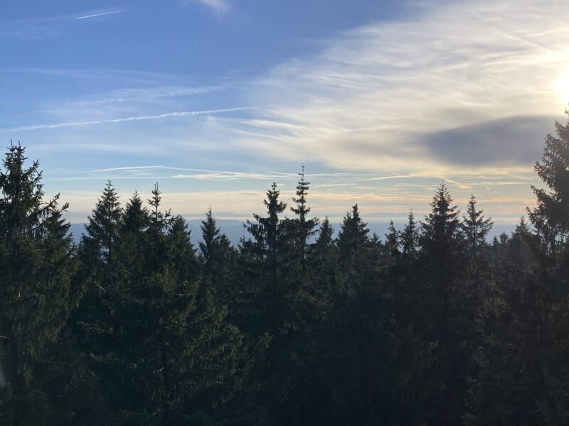 Yoga & Silent Mountain Retreat