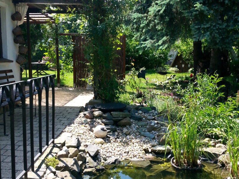 "Zurück zu deinen Wurzeln" Die 7-Sinne-Auszeit für Frauen