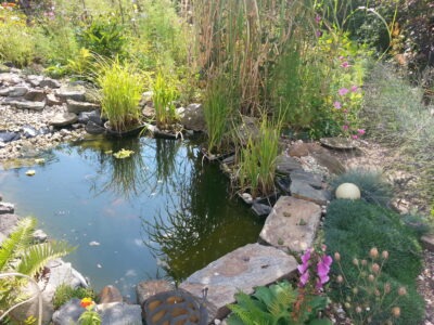 "Zurück zu deinen Wurzeln" Die 7-Sinne-Auszeit für Frauen