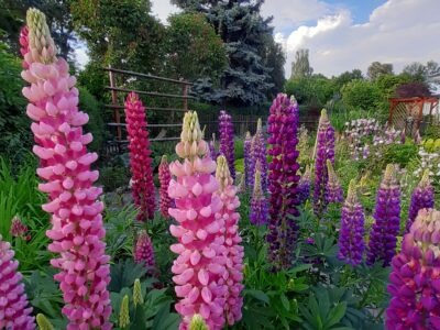 "Zurück zu deinen Wurzeln" Die 7-Sinne-Auszeit für Frauen