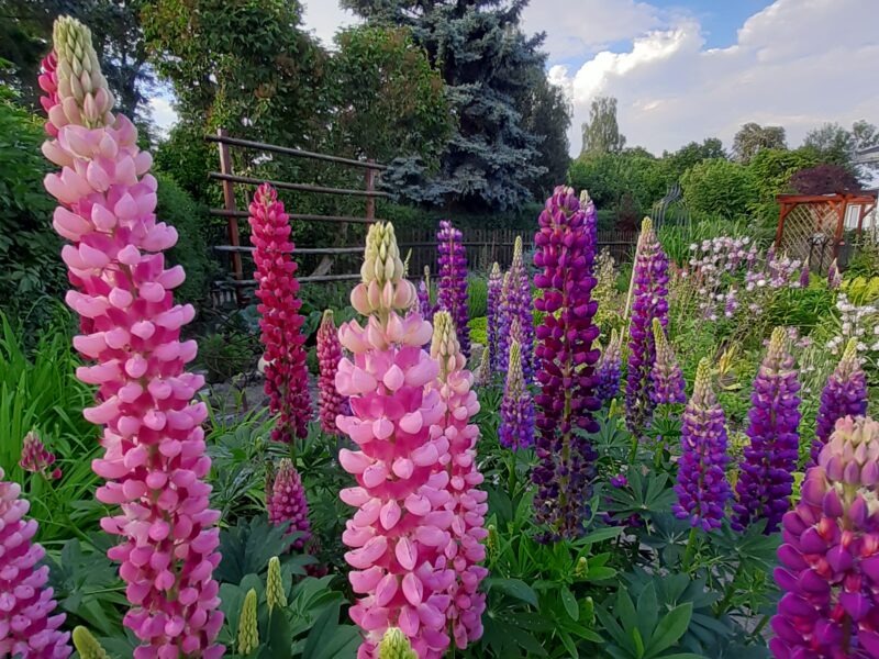 "Zurück zu deinen Wurzeln" Die 7-Sinne-Auszeit für Frauen