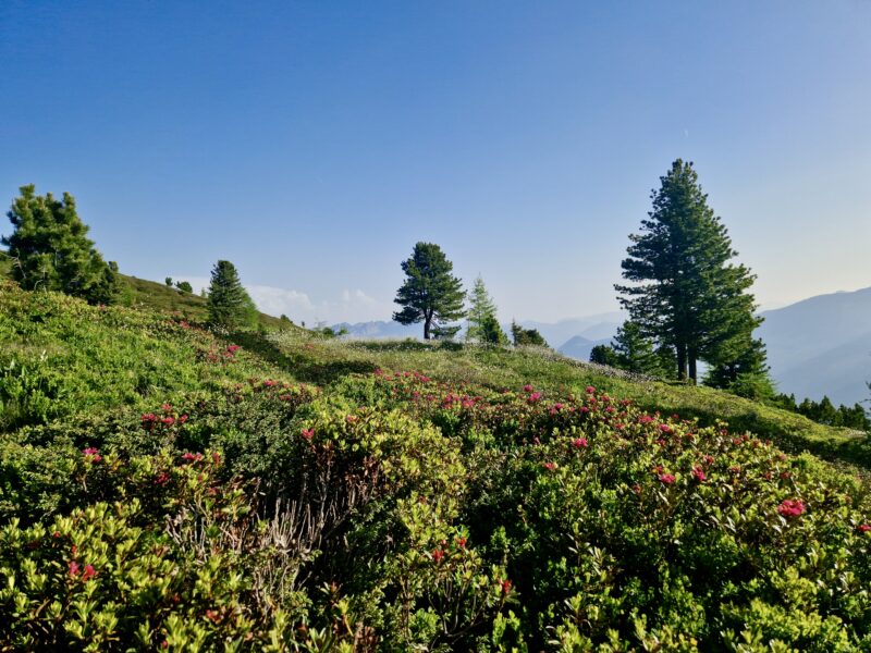 BERG-RETREAT Zillertal 1800m | Qigong, Meditation, Klang & Wandern |HEIMKEHR ZU DIR SELBST