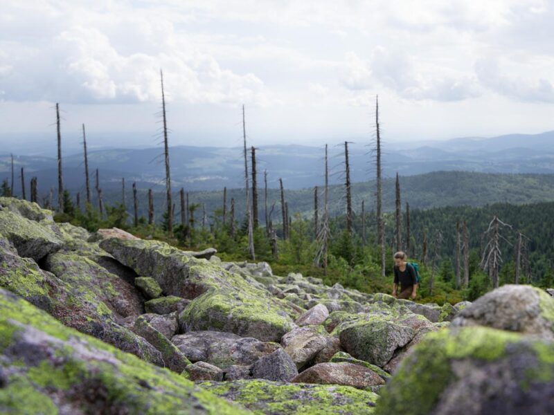 Yoga & Wandern im Bayerischen Wald