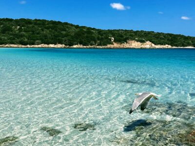 Pilatesflows Retreat Sardinien in BohoStyle Villa mit sardischer Köchin und Meerblick