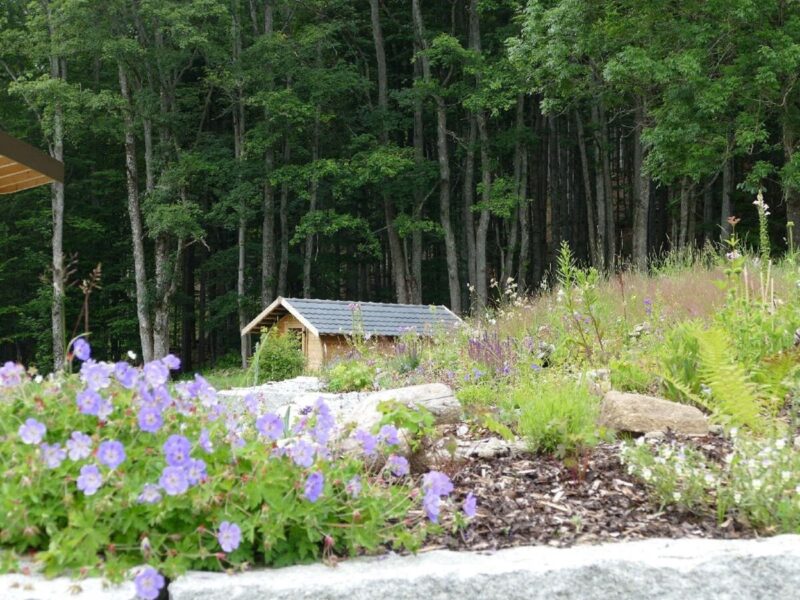 Yoga & Wandern im Bayerischen Wald