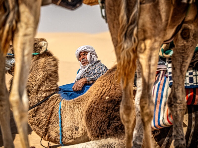 🌵 SoulQuest Wüste – Die Reise zurück zu dir. Eine Auszeit in der Wüste für Frauen, die sich selbst wieder spüren möchten. 31.03.-07.04.2026