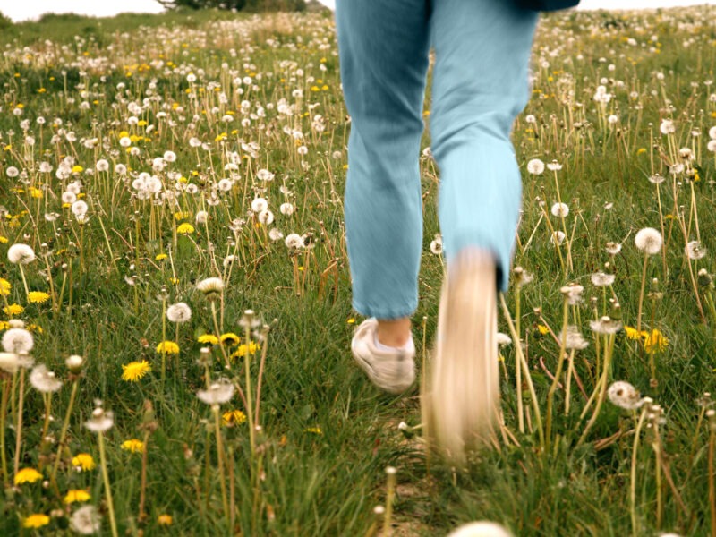 Sommer-Retreat RECONNECT YOURSELF: Meditation, Stille und Natur für innere Stärke und Anbindung