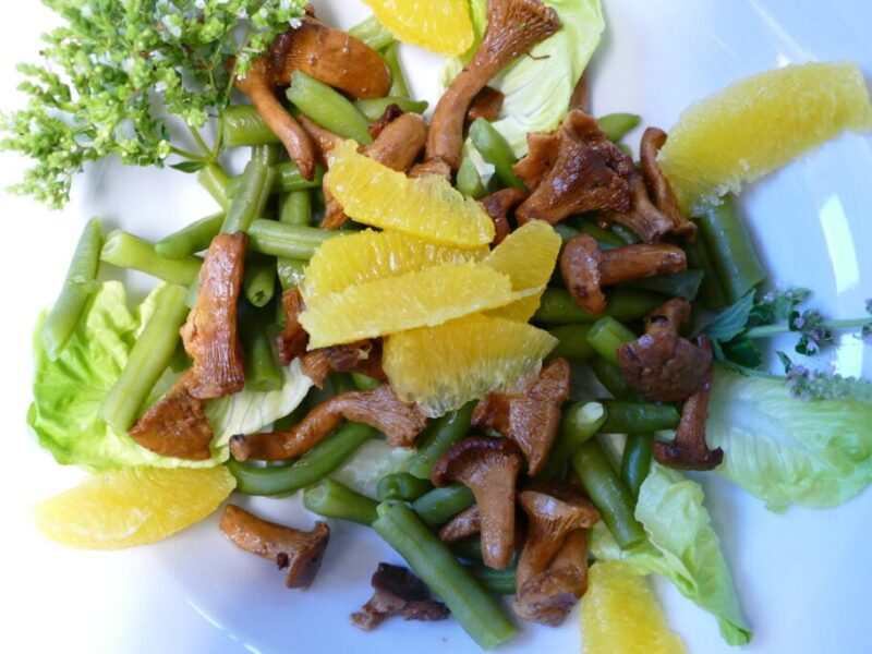 Yoga & Wandern im Bayerischen Wald