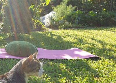 Kunst Retreat in Ungarn