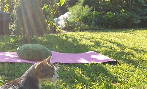 Kunst Retreat in Ungarn