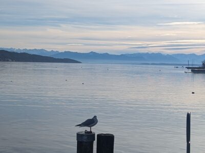 MindMoveArt-Sommerretreat: Kraft & Leichtigkeit