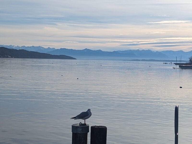 MindMoveArt-Sommerretreat: Kraft & Leichtigkeit