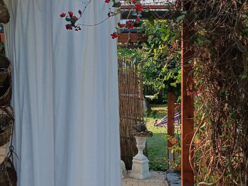 "Zurück zu deinen Wurzeln" Die 7-Sinne-Auszeit für Frauen