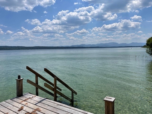 MindMoveArt-Sommerretreat: Kraft & Leichtigkeit