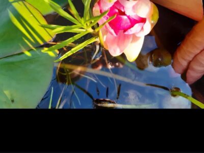 "Zurück zu deinen Wurzeln" Die 7-Sinne-Auszeit für Frauen