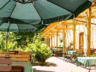 MindMoveArt-Sommerretreat: Kraft & Leichtigkeit