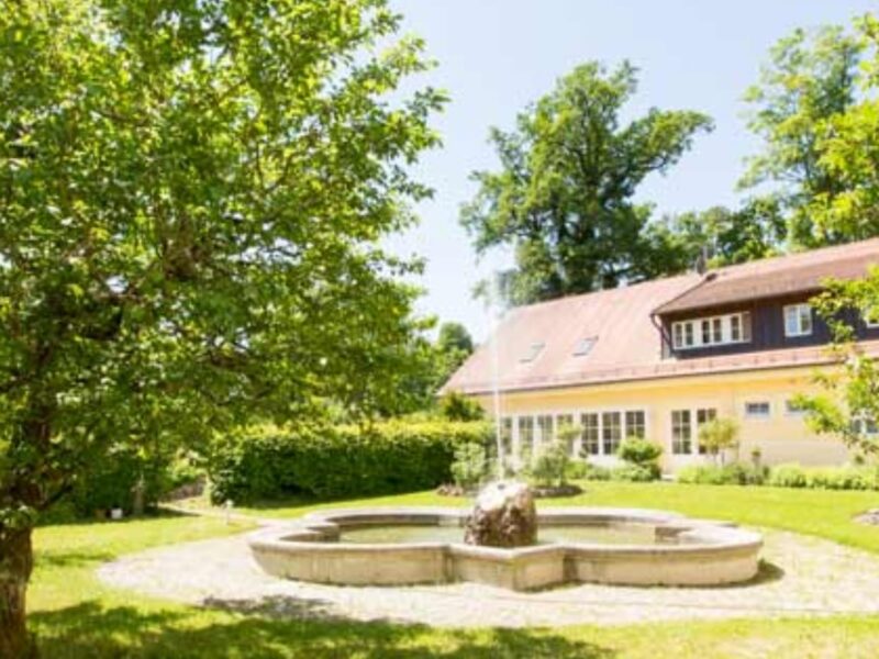 MindMoveArt-Sommerretreat: Kraft & Leichtigkeit