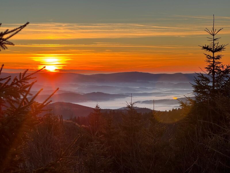Yoga & Wandern im Bayerischen Wald