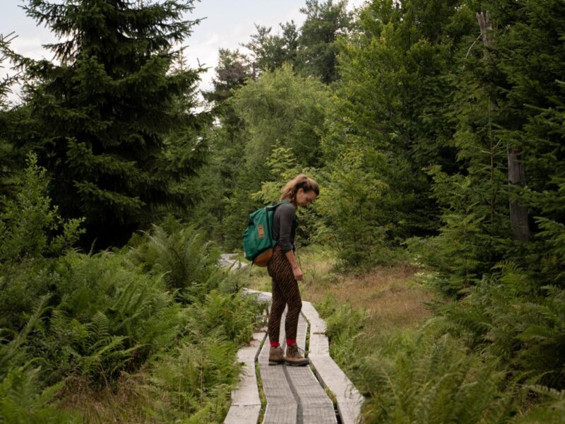 Yoga & Wandern im Bayerischen Wald