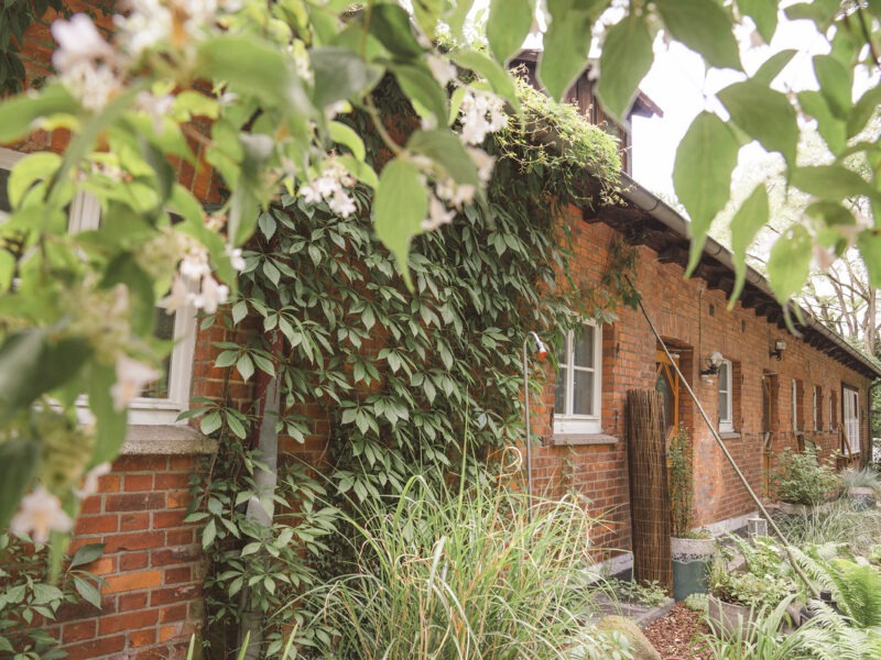 Sommer-Retreat RECONNECT YOURSELF: Meditation, Stille und Natur für innere Stärke und Anbindung