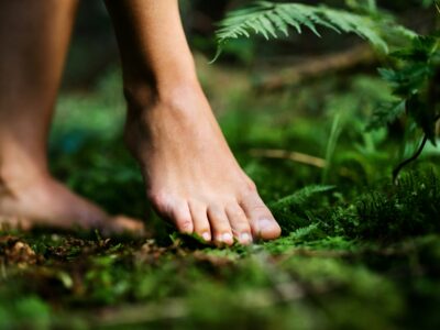 Sommer-Retreat RECONNECT YOURSELF: Meditation, Stille und Natur für innere Stärke und Anbindung