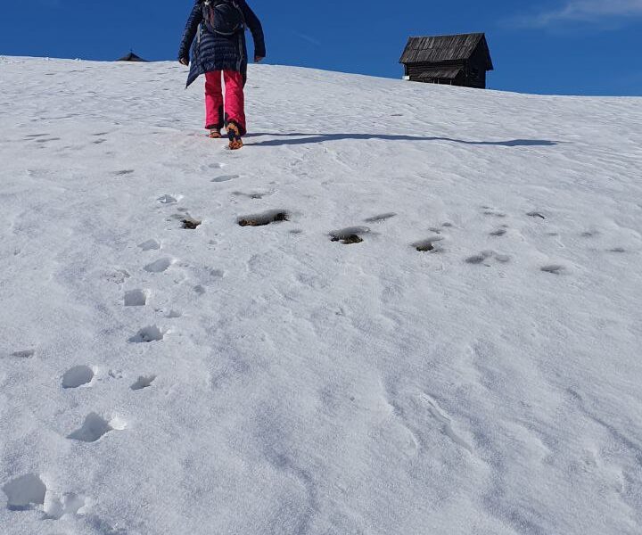 Schnee und Wellness Retreat im Luxus Chalet -ästhetischer Höhepunkt des Jahres