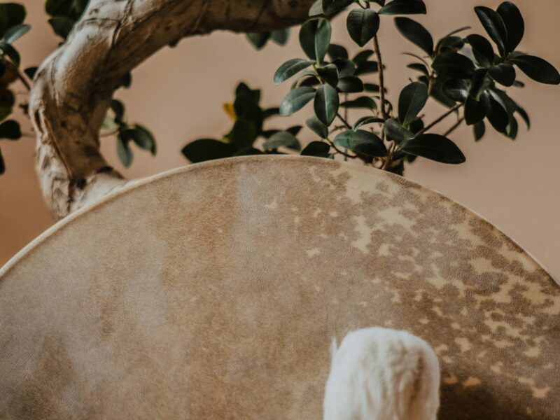 Sommer-Retreat RECONNECT YOURSELF: Meditation, Stille und Natur für innere Stärke und Anbindung