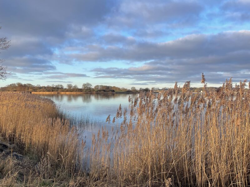 LEBENDIG: Erinnere dich an die Frau, die du wirklich bist I Ostsee I 28.05.-31.05.26
