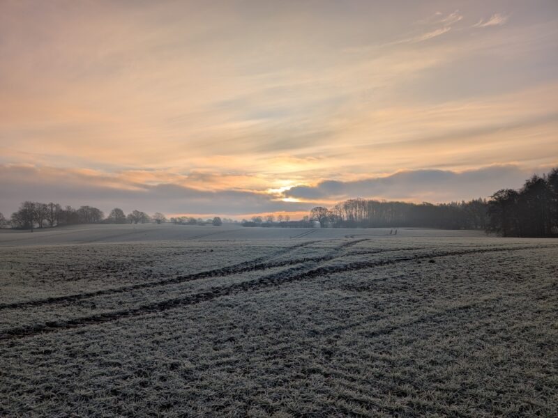 LEBENDIG: Erinnere dich an die Frau, die du wirklich bist I Ostsee I 28.05.-31.05.26