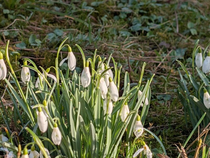 LEBENDIG: Erinnere dich an die Frau, die du wirklich bist I Ostsee I 28.05.-31.05.26