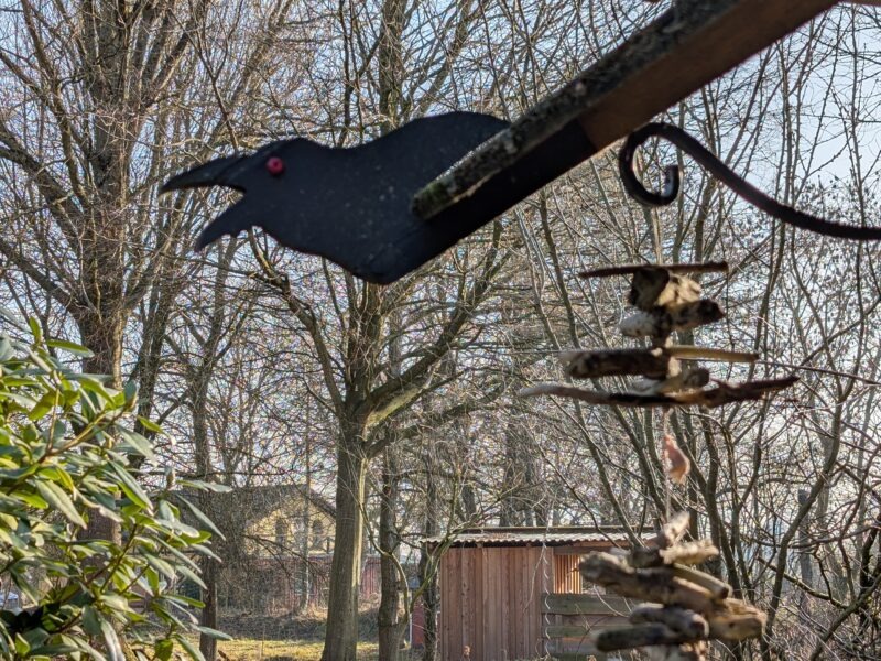 LEBENDIG: Erinnere dich an die Frau, die du wirklich bist I Ostsee I 28.05.-31.05.26