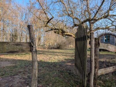 LEBENDIG: Erinnere dich an die Frau, die du wirklich bist I Ostsee I 28.05.-31.05.26