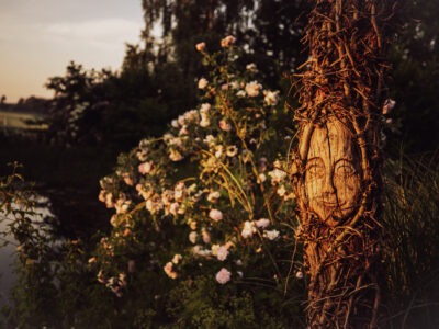 Samhain Day Retreat am Hofgut am Dobl