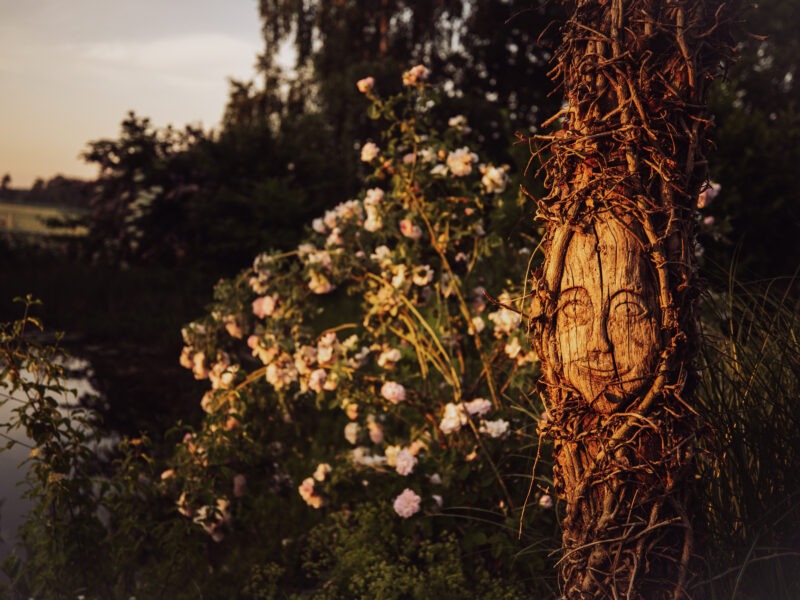 Samhain Day Retreat am Hofgut am Dobl