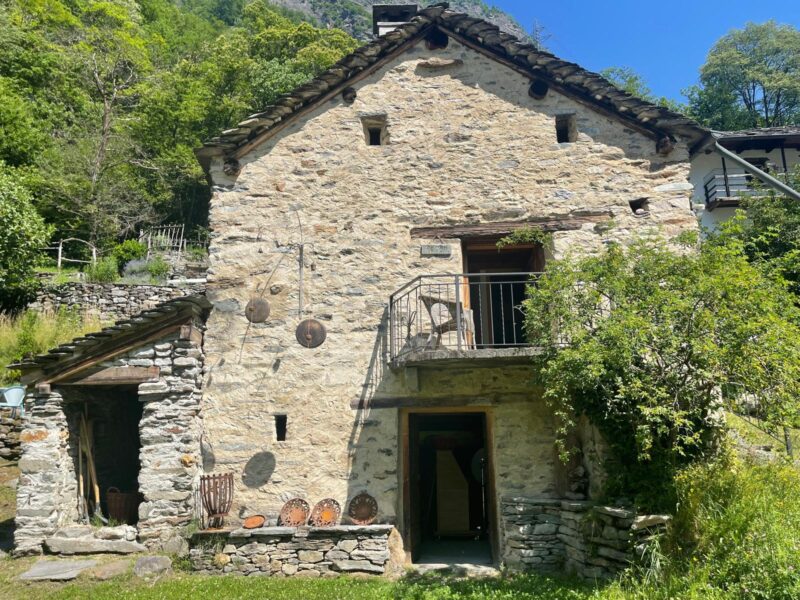 WILD. KLAR. KRAFTVOLL. - BewusstSeinsTage im Tessin