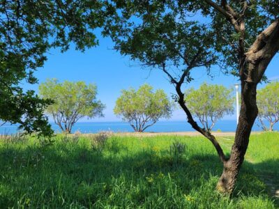 MEER. STIMME. WANDLUNG. Gesangsretreat für Frauen auf Lesbos | Deine Stimme als Weg zu Ausdruck, Wahrheit & Selbstführung | 22. bis 29. August 2026