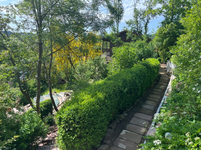 Fühle Verbundenheit - Dein Frauen-Retreat in der Eifel