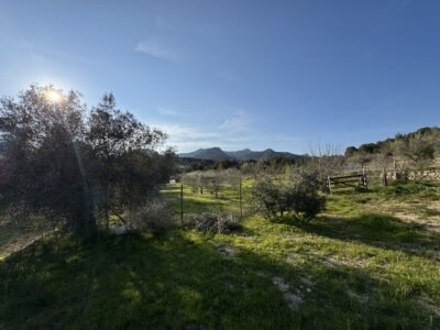 Soulmagie Retreat in der Natur| 3-7 Juni 26| Yoga, Meditation, Kakaoreisen & Soulportrait