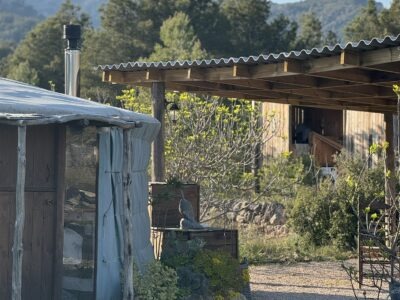 Soulmagie Retreat in der Natur| 3-7 Juni 26| Yoga, Meditation, Kakaoreisen & Soulportrait