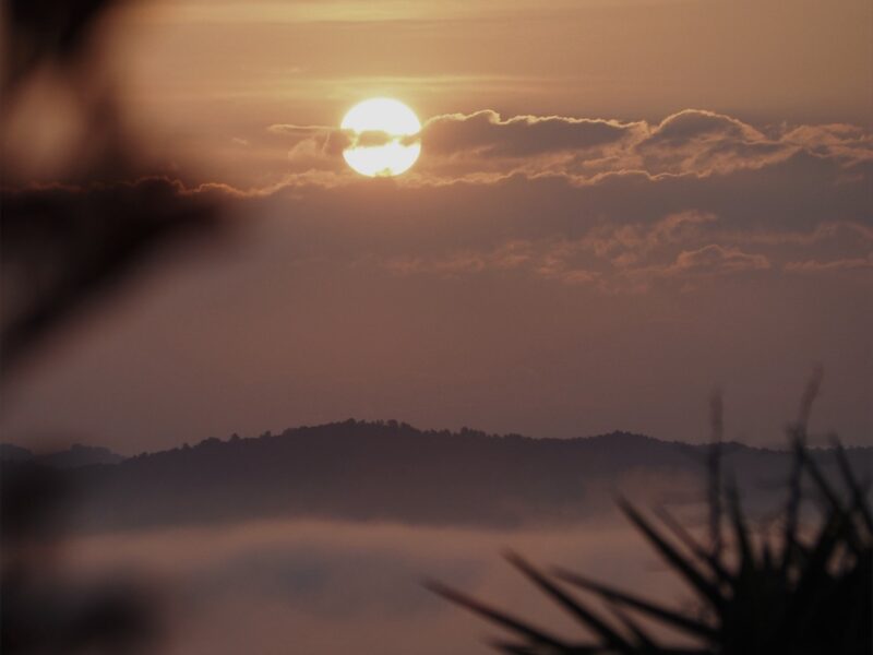 Soulmagie Retreat | 3-7 Juni 26| Dein Erinnern - Schamanische Rituale x Seelenportrait