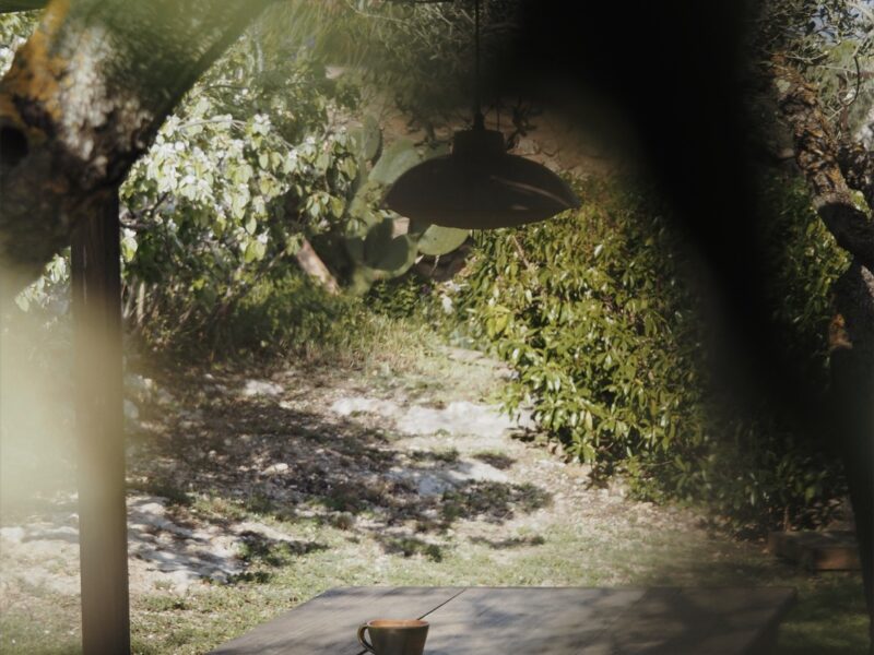 Soulmagie Retreat | 3-7 Juni 26| Dein Erinnern - Schamanische Rituale x Seelenportrait