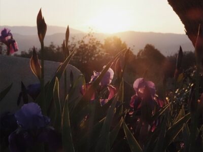 Soulmagie Retreat | 3-7 Juni 26| Dein Erinnern - Schamanische Rituale x Seelenportrait