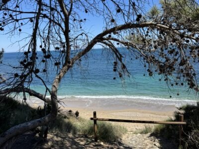 Soulmagie Retreat in der Natur| 3-7 Juni 26| Yoga, Meditation, Kakaoreisen & Soulportrait